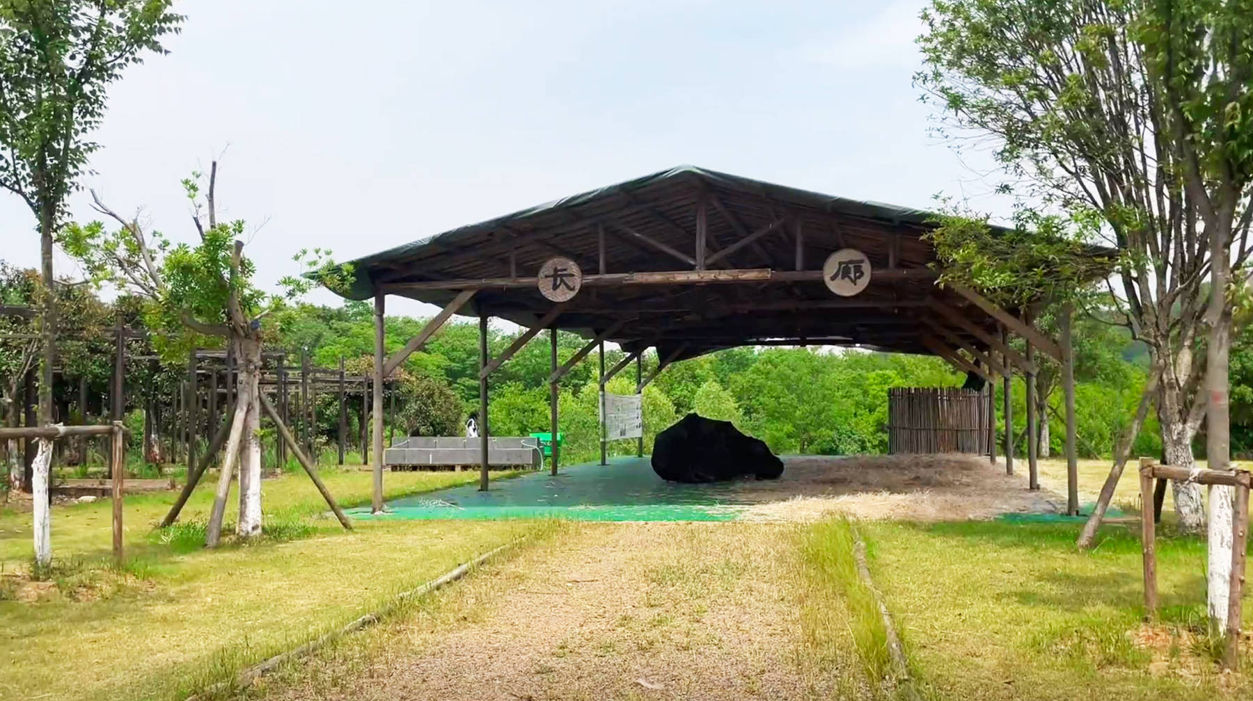 武汉城区大山脚下有座农场，乘地铁前往，肥沃庄稼地充满乡村气息