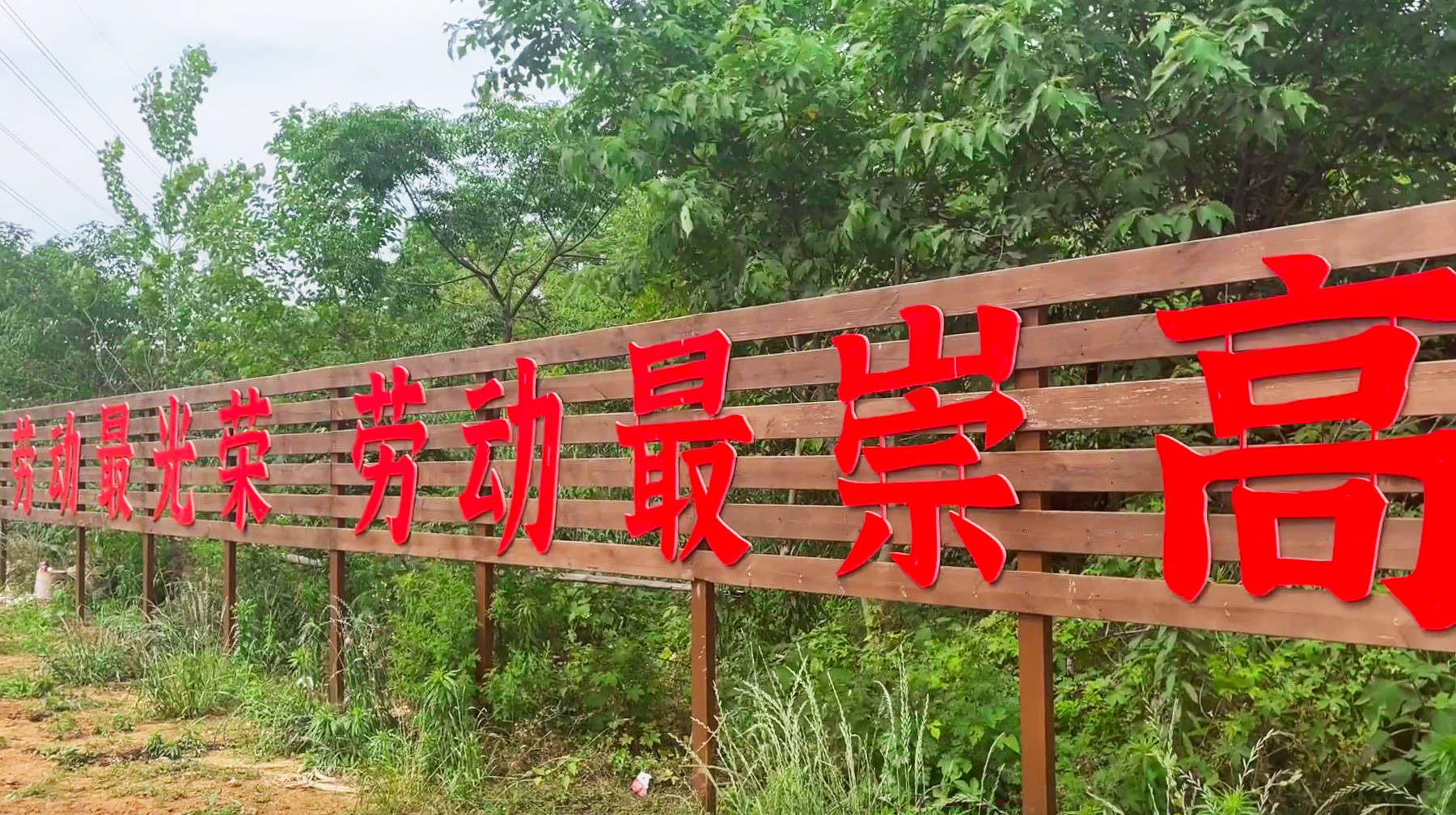 武汉城区大山脚下有座农场，乘地铁前往，肥沃庄稼地充满乡村气息