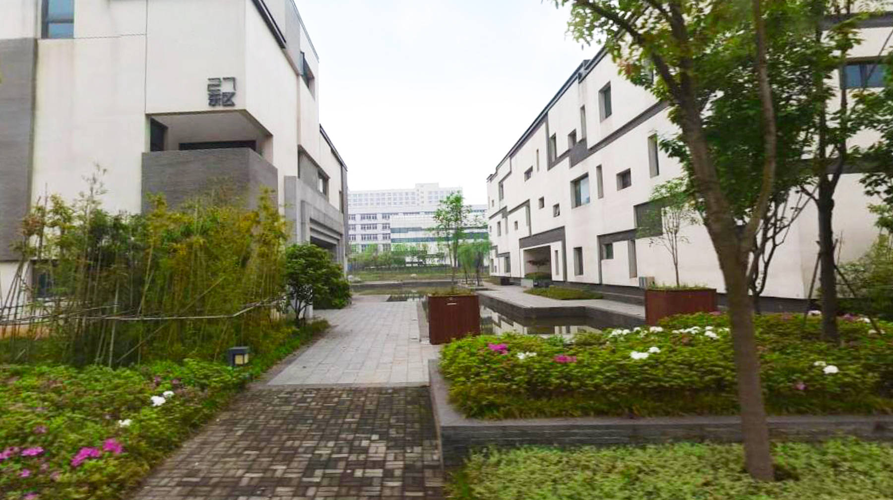 一座充满水乡意境的企业社区，随拍武汉研创中心，上下班像逛景区