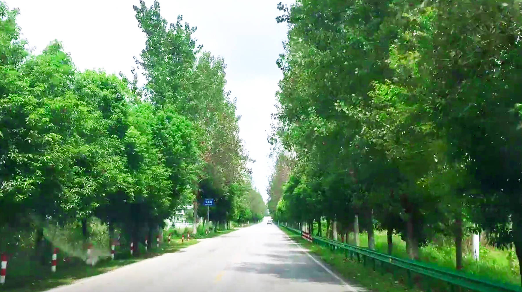 穿越武汉郊区这条美丽乡村公路，沿途遍布十几个景点，旅游必去地