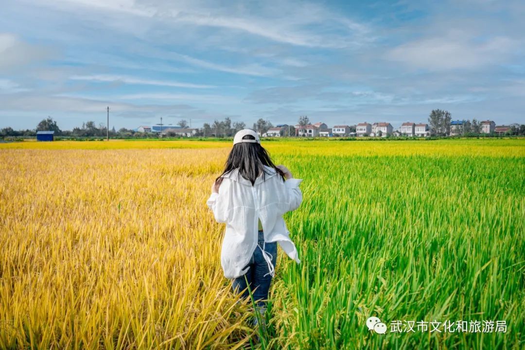 距武汉主城区1小时车程的江夏法泗镇，在这里享受假期狂欢后的片刻宁静