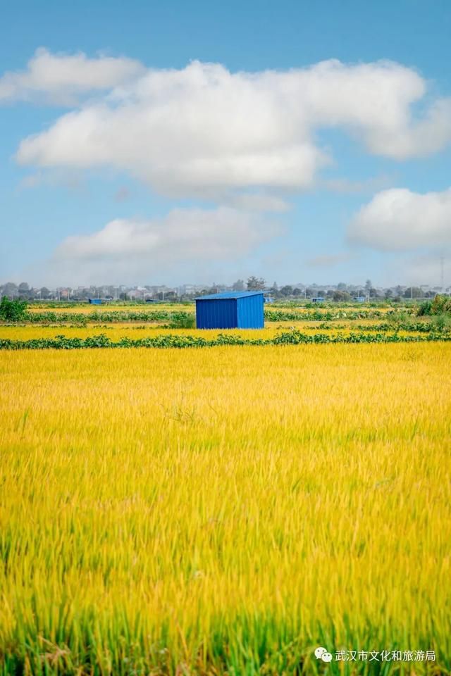 距武汉主城区1小时车程的江夏法泗镇，在这里享受假期狂欢后的片刻宁静