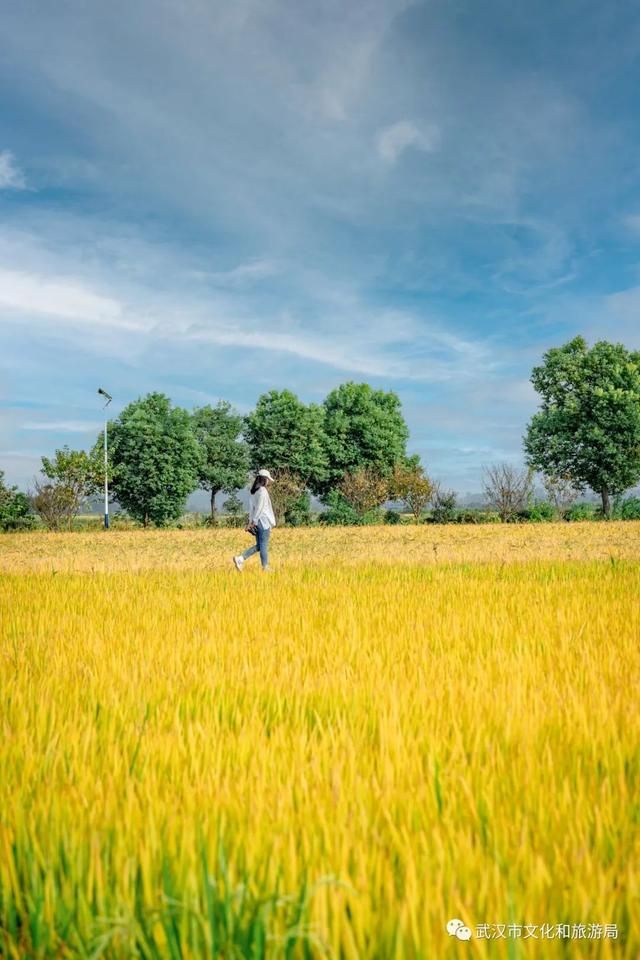 距武汉主城区1小时车程的江夏法泗镇，在这里享受假期狂欢后的片刻宁静