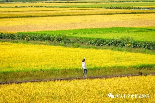 距武汉主城区1小时车程的江夏法泗镇，在这里享受假期狂欢后的片刻宁静