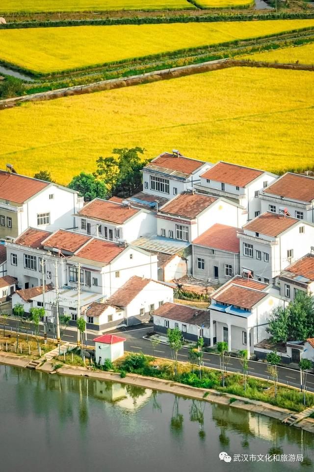 距武汉主城区1小时车程的江夏法泗镇，在这里享受假期狂欢后的片刻宁静