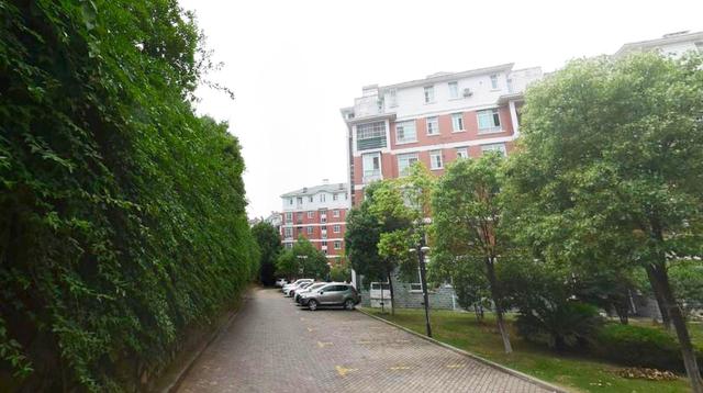 武汉江夏有座建在山林中的小区，面积广袤像景点，出门要骑电动车