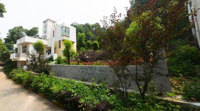 武汉江夏有座建在山林中的小区，面积广袤像景点，出门要骑电动车