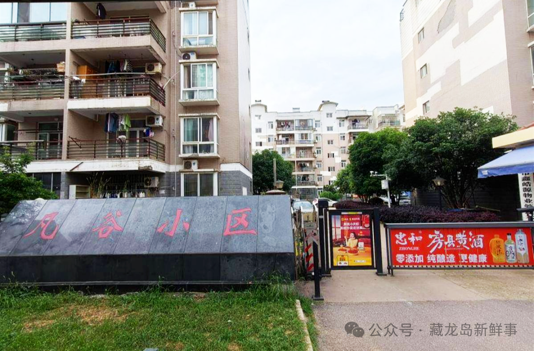 牛！江夏一小区筹款30万，菜地“变身”停车场！