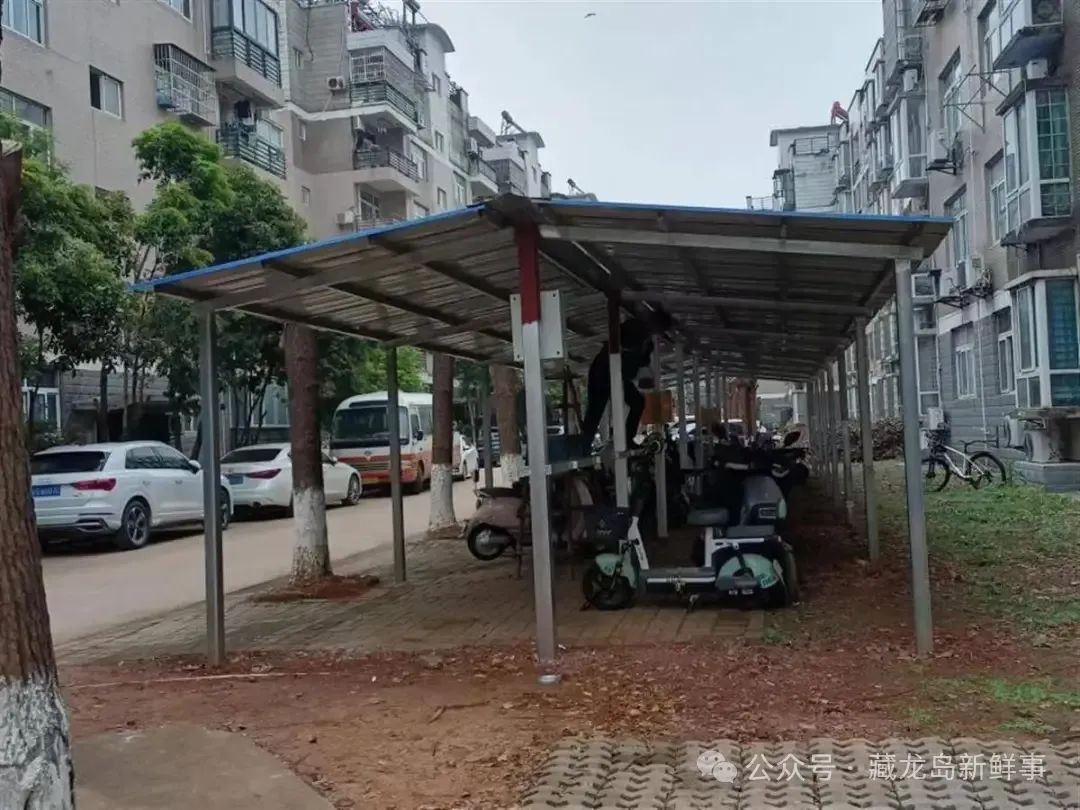 牛！江夏一小区筹款30万，菜地“变身”停车场！