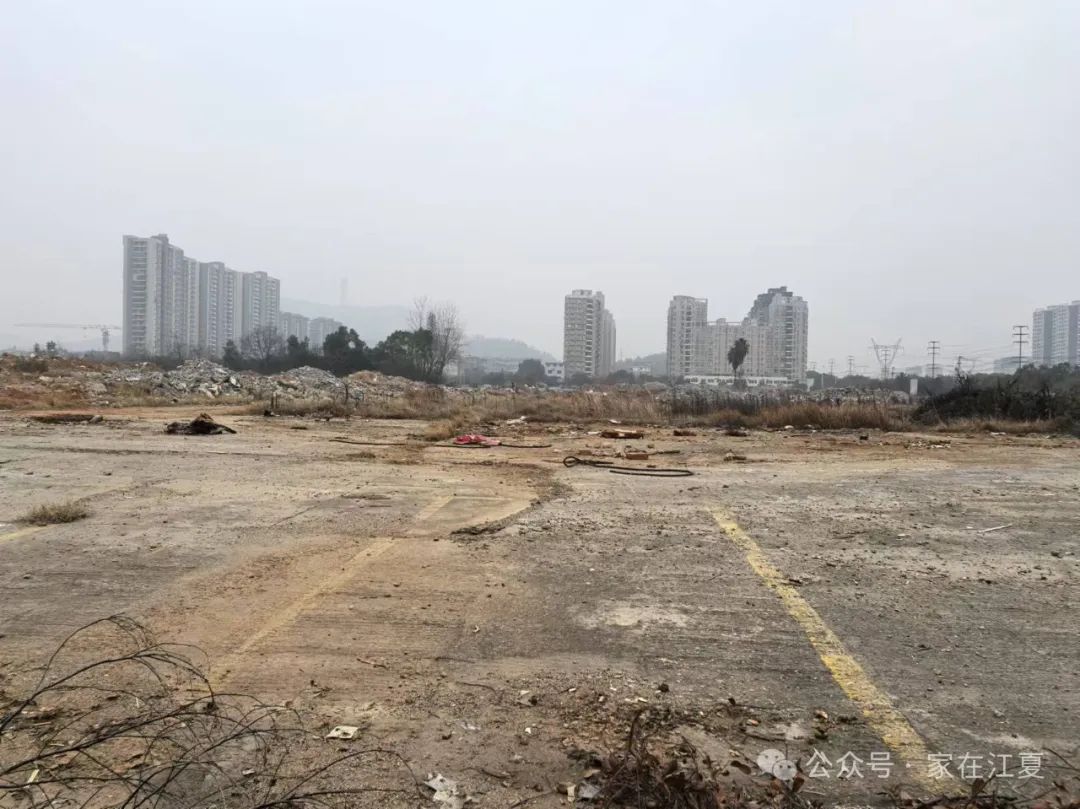 江夏中粮地块实拍！未来到底是何规划？