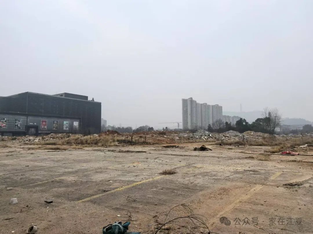 江夏中粮地块实拍！未来到底是何规划？