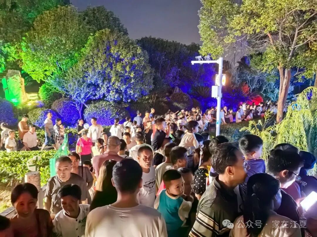 单日入园游客超3万人次！江夏这个公园焕新开园成文化新地标