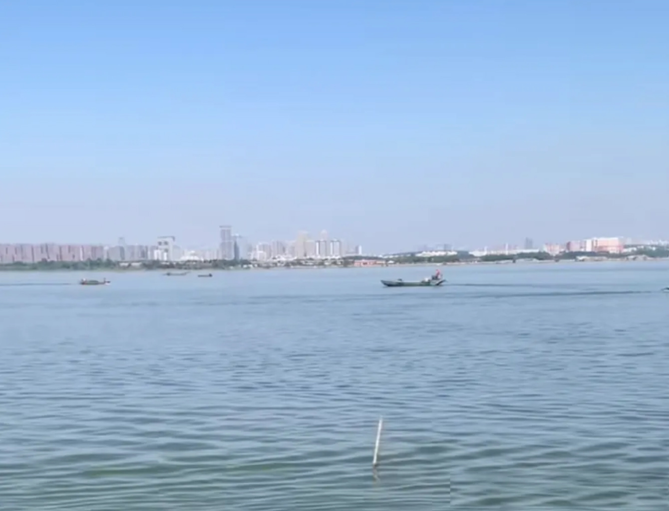 江夏汤逊湖进入“捕鱼季”？