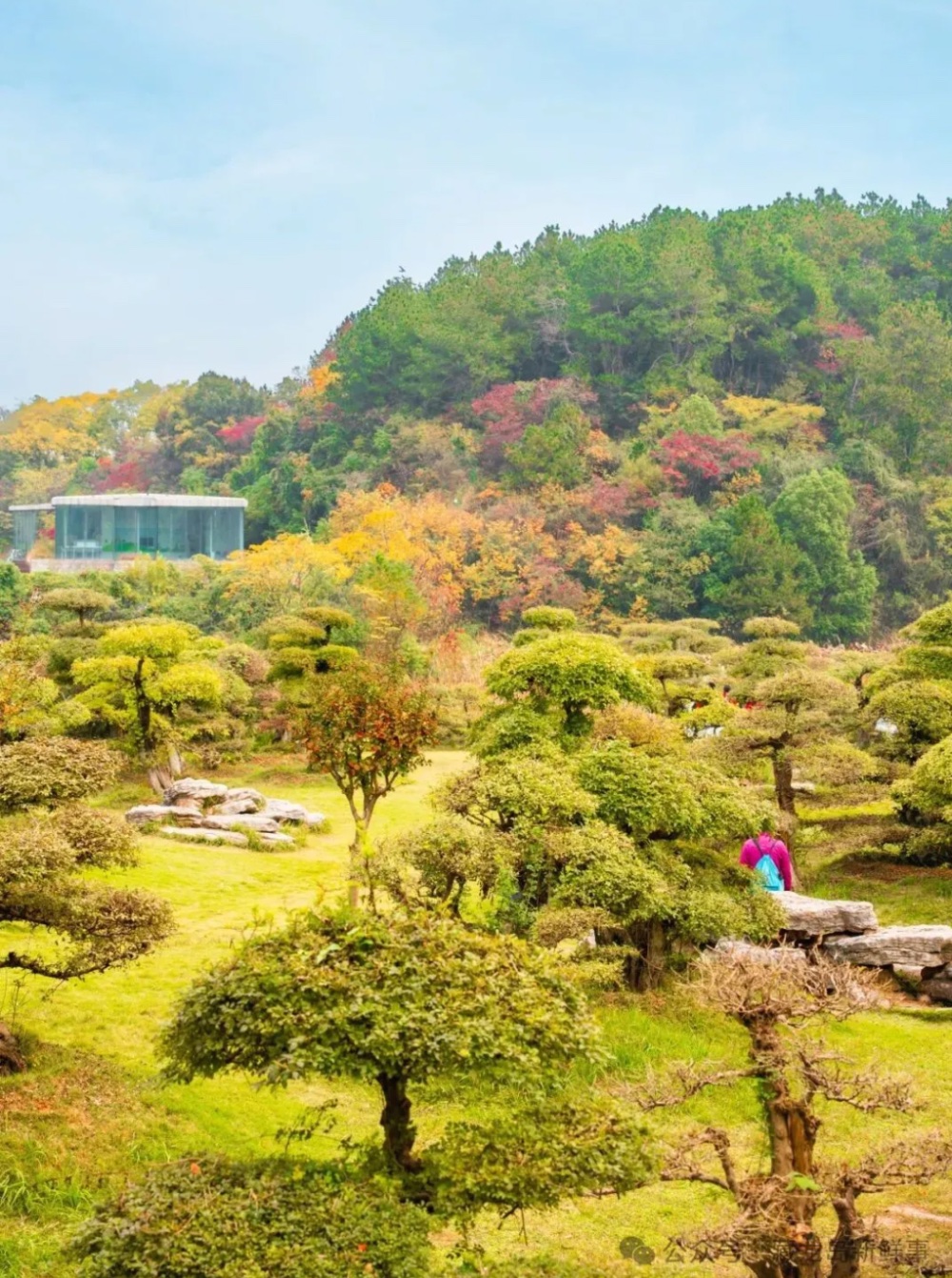 出片率100%!江夏这个公园美爆了! 出片率100%!江夏这个公园美爆了!