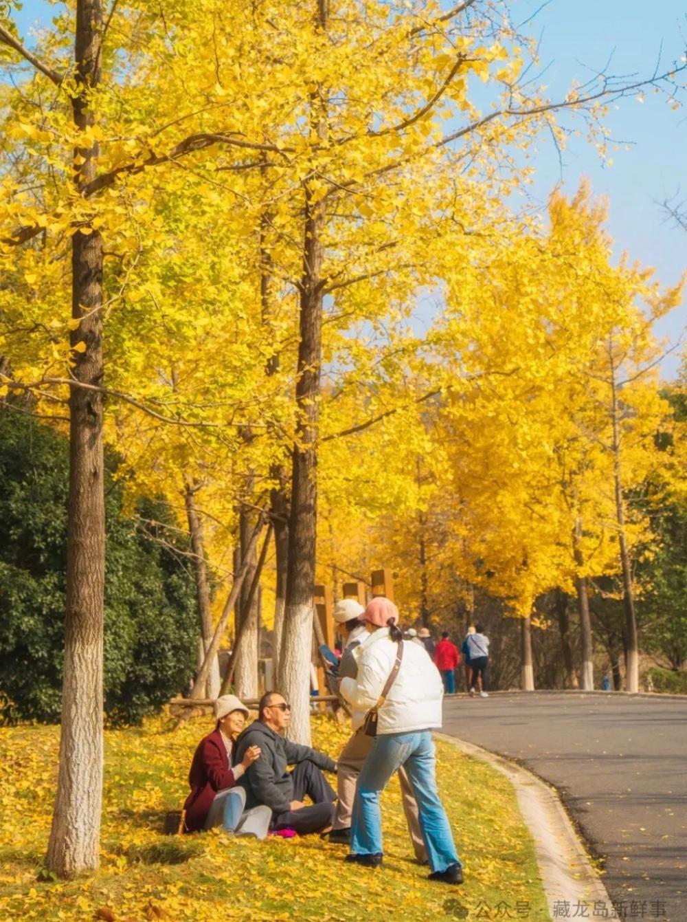 出片率100%!江夏这个公园美爆了! 出片率100%!江夏这个公园美爆了!