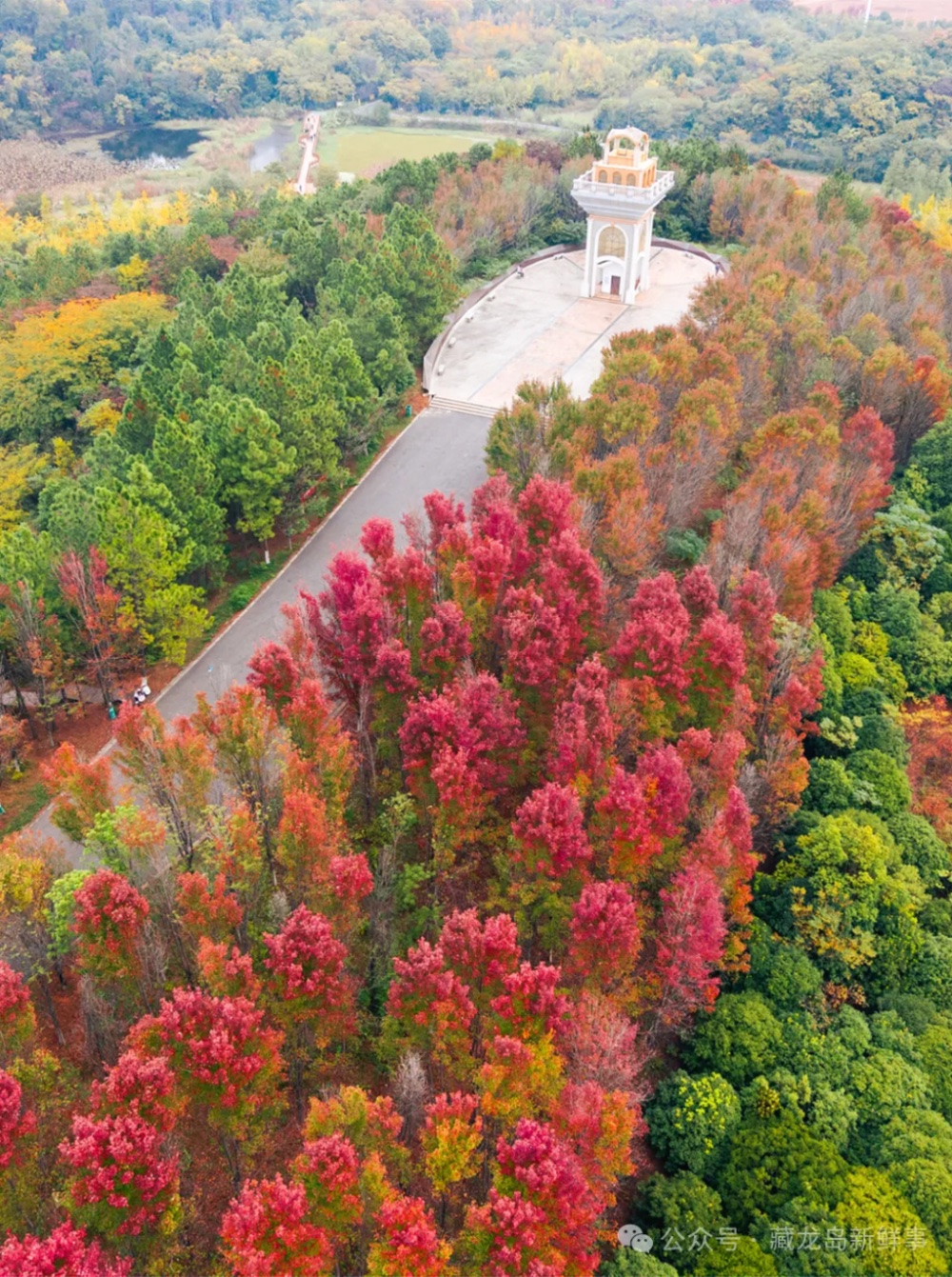 出片率100%!江夏这个公园美爆了! 出片率100%!江夏这个公园美爆了!