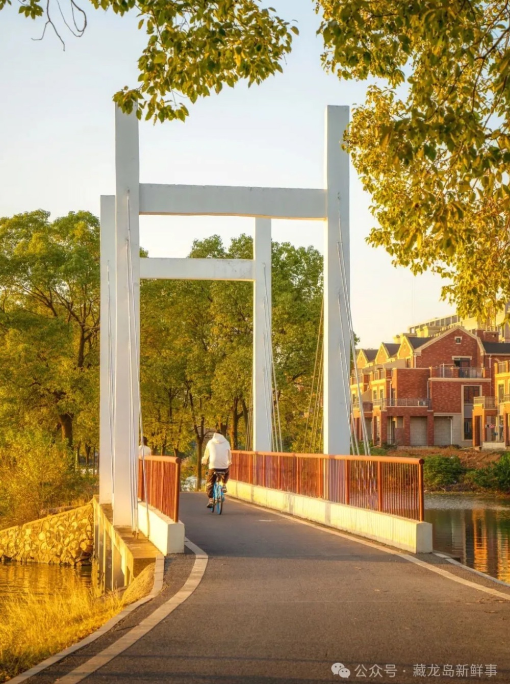 出片率100%!江夏这个公园美爆了! 出片率100%!江夏这个公园美爆了!