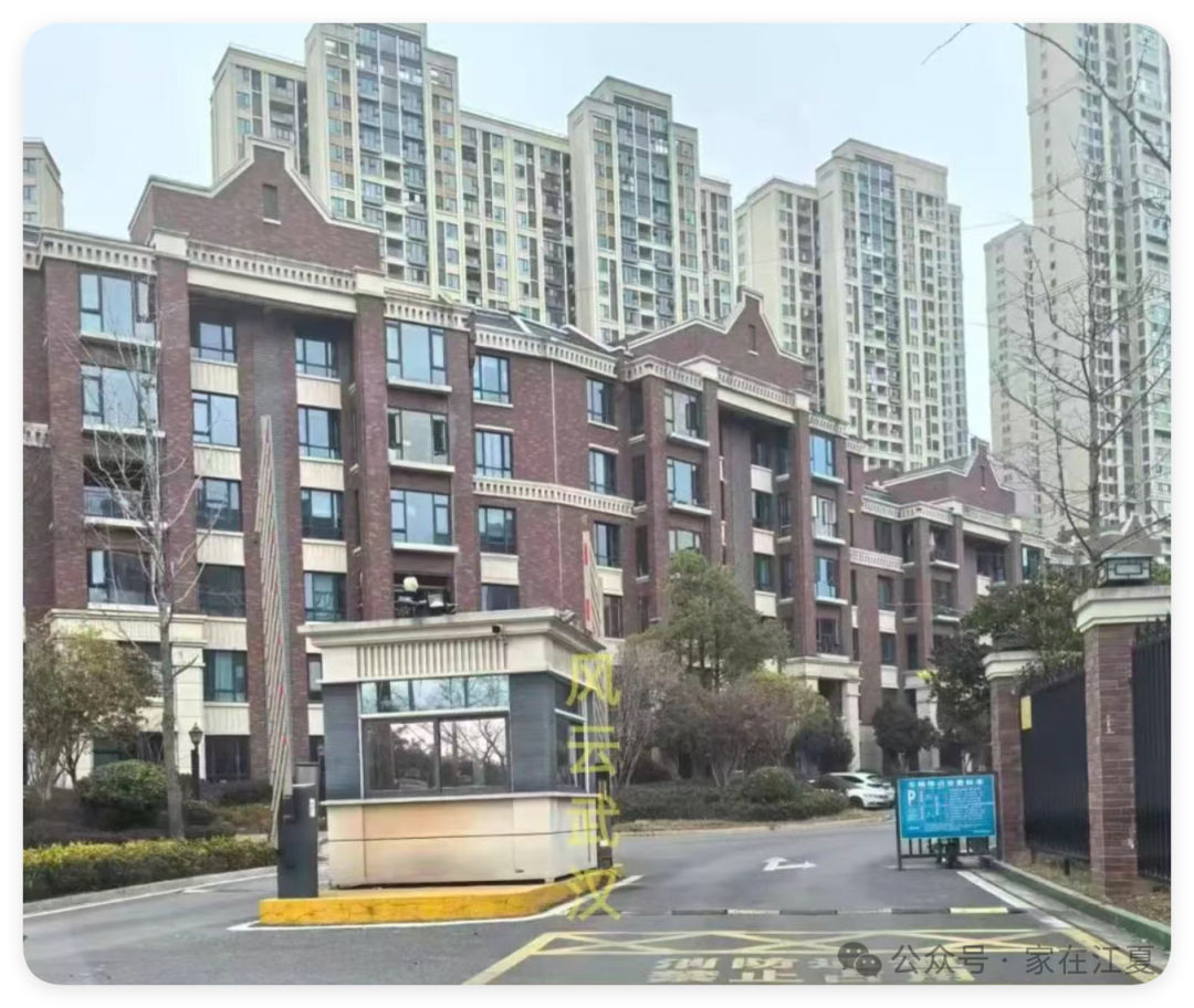 江夏一小区新物业入场！然而发现问题多多...