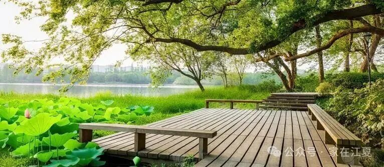 全面启动！江夏区文化大道汤逊湖环湖绿道综合整治！