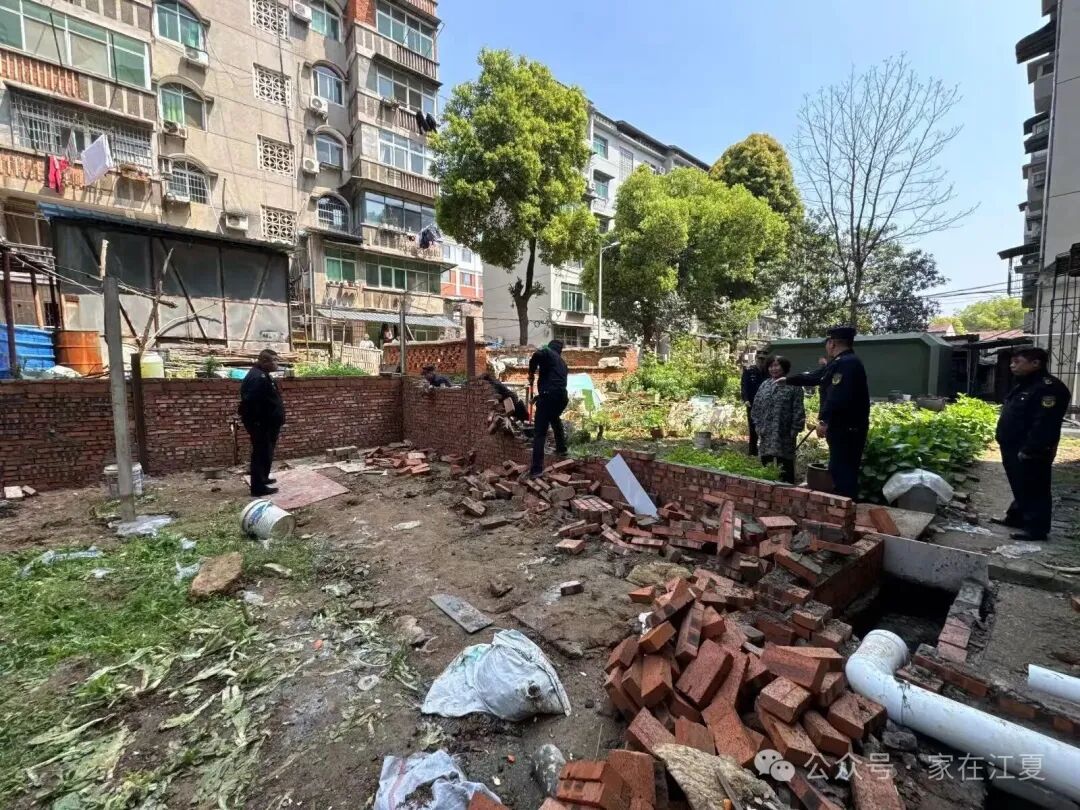 无人机锁定4处违建！江夏区及时拆违除隐患！
