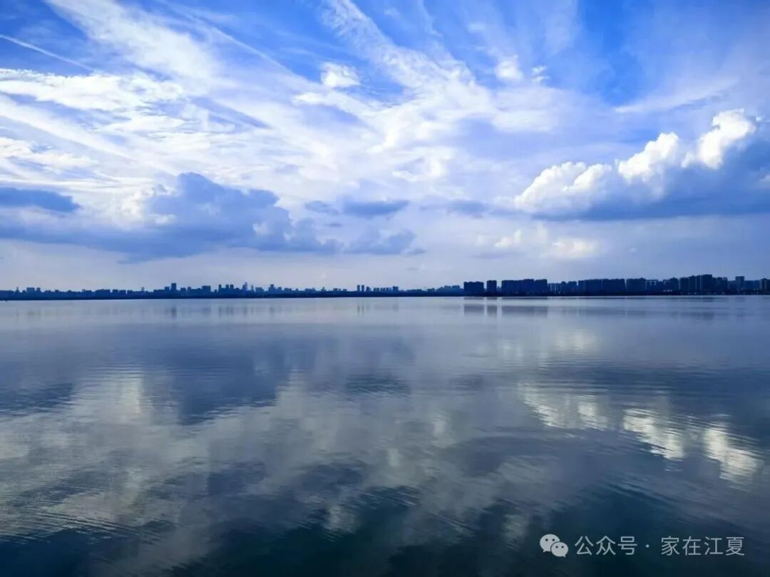 王炸!武汉地铁9号线传来大消息!事关光谷江夏融合! 王炸!武汉地铁9号线传来大消息!事关光谷江夏融合!